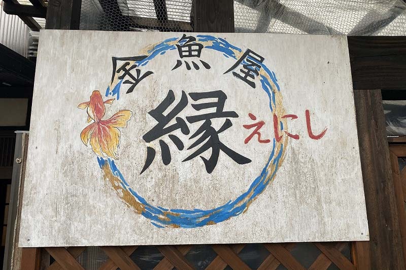 金魚すくい